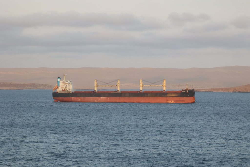 Container ship sailing on a calm sea with a distant coastline